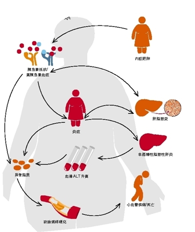 血清ALT，“双重身份”遭披露