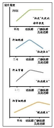 肝脏常见局灶性病变的CT影像征象分析