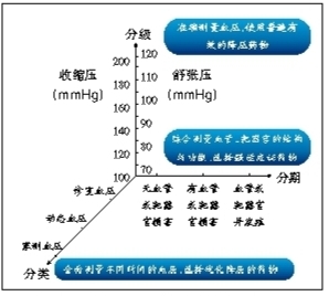 高血压联合治疗与立体化管理