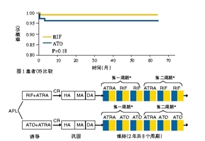 祖国医学成果的又一次成功转化——APL治疗