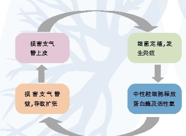 解析支气管扩张症