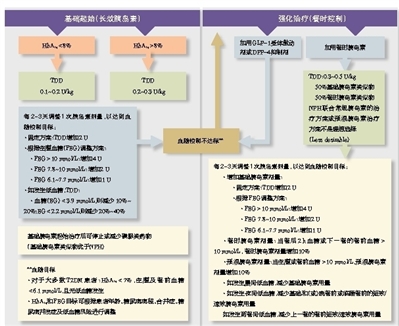 细读AACE指南，明晰胰岛素治疗策略