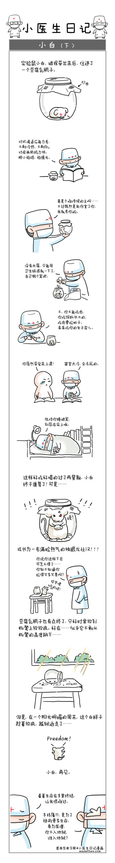 小医生日记漫画------小白（下）